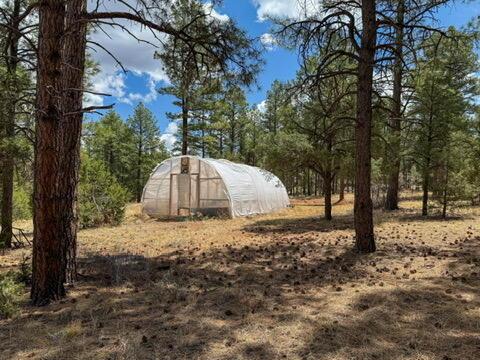 34 Halcon Rd, Ramah, NM 87321 - view of yard featuring a greenhouse and an outdoor structure