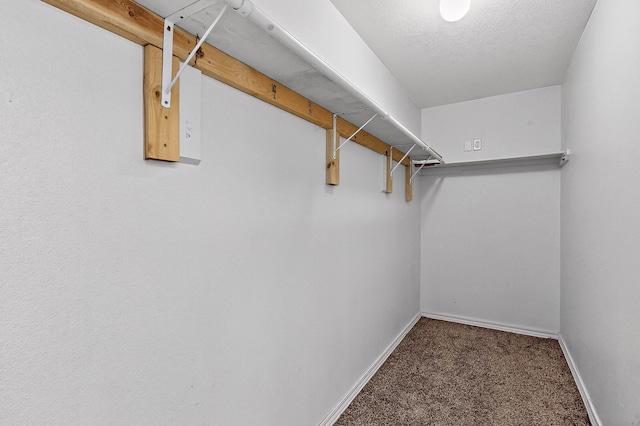 717 Monterrey Rd NE, Rio Rancho, NM 87144 - spacious closet with carpet floors