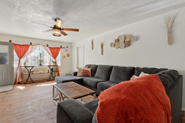 2724 Pennsylvania St NE, Albuquerque, NM 87110 - living room featuring wood finished floors, ceiling fan, and a textured ceiling