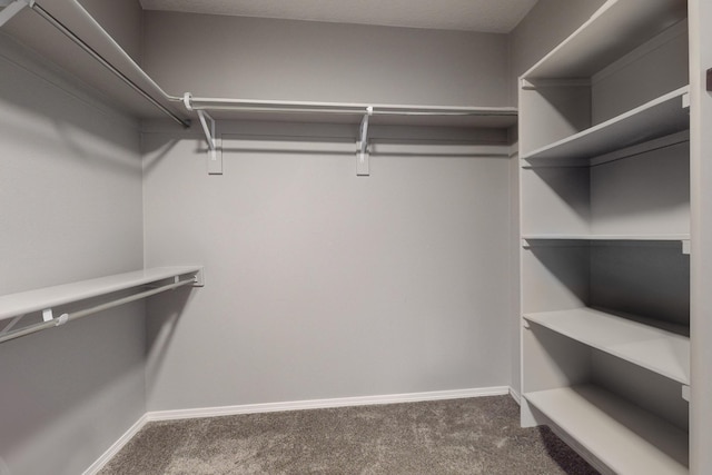7037 Cleary Loop NE, Rio Rancho, NM 87144 - walk in closet featuring carpet