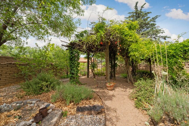 234 Horton Ln NW, Albuquerque, NM 87114 - view of fenced backyard