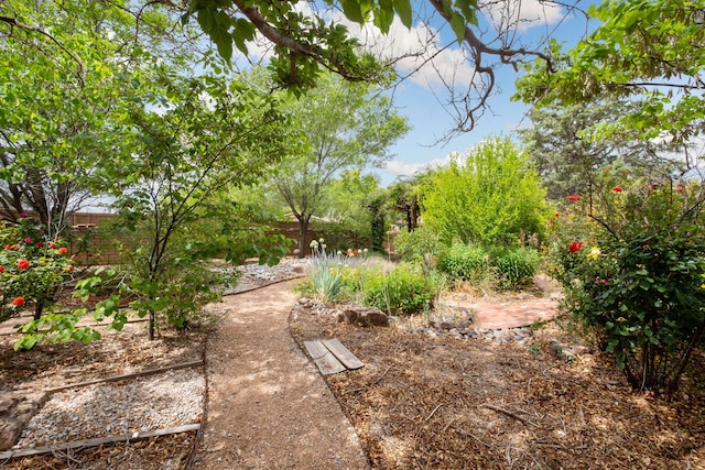 234 Horton Ln NW, Albuquerque, NM 87114 - view of yard