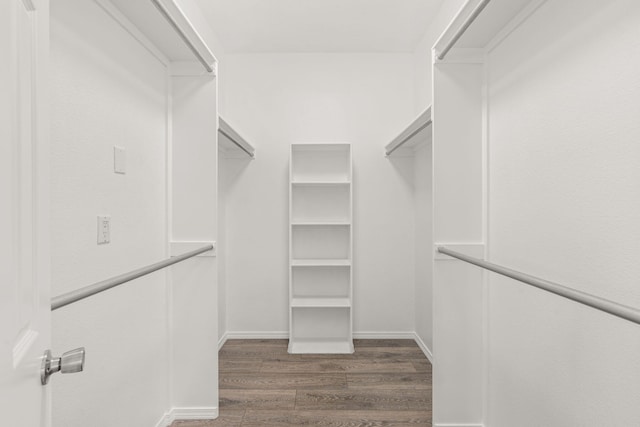 10504 W Connemara Ave SW, Albuquerque, NM 87121 - walk in closet with wood finished floors