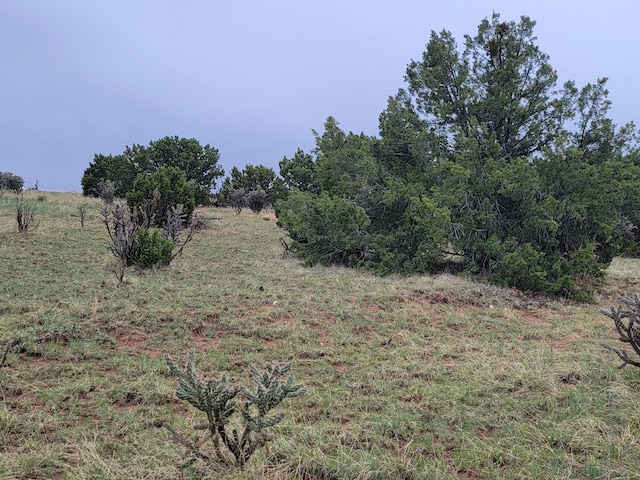 60 Majestic Loop, Moriarty, NM 87035