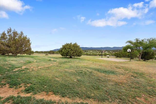 152 Elite Dr, Tijeras, NM 87059 - photo 71
