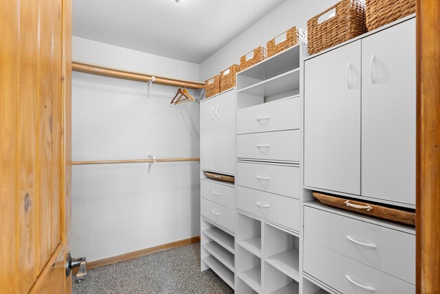 152 Elite Dr, Tijeras, NM 87059 - photo 50