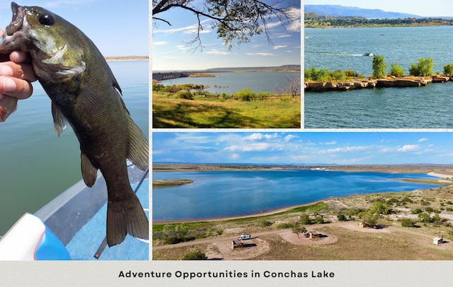 0 Conchas Dm, Area, Conchas Dam, NM 88416