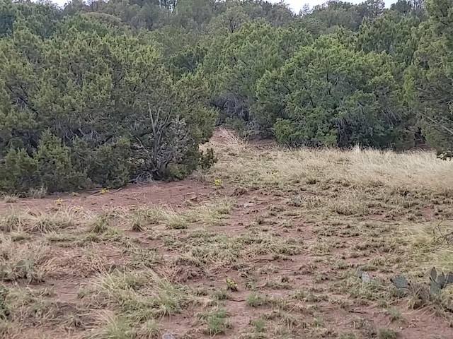 60 High Vista Dr, Moriarty, NM 87035