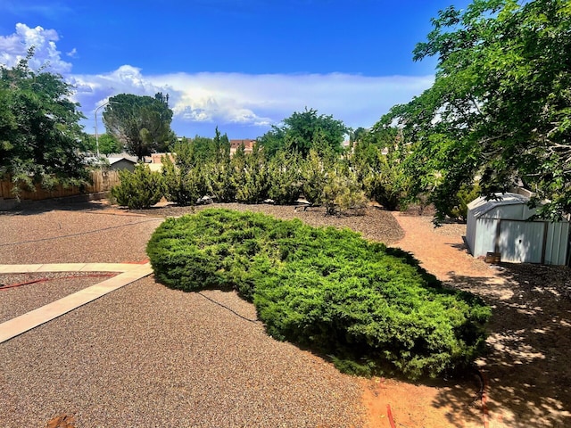 10008 Greene Ave NW, Albuquerque, NM 87114 - view of yard