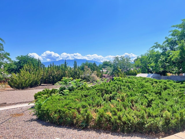 10008 Greene Ave NW, Albuquerque, NM 87114 - view of mountain background