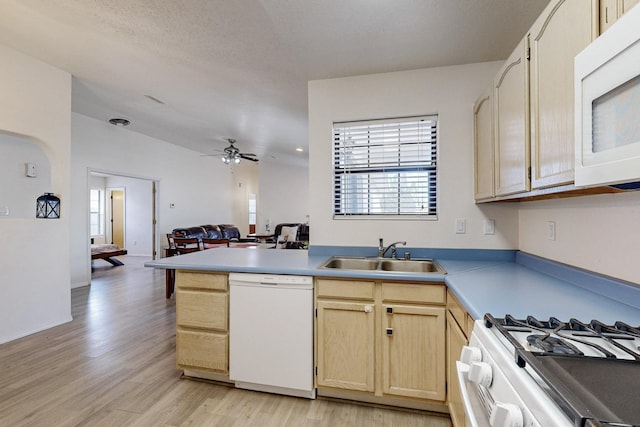 1128 Pandora Dr SW, Los Lunas, NM 87031 - kitchen featuring white appliances, a sink, light brown cabinetry, light wood-style floors, and a ceiling fan
