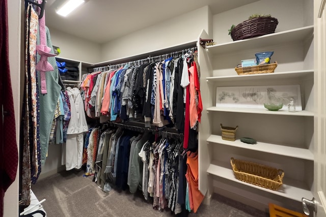 31 Express Blvd, Sandia Park, NM 87047 - walk in closet featuring carpet floors