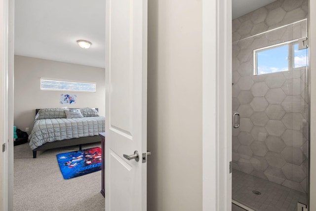 6527 Trestle Glen Rd NW, Albuquerque, NM 87120 - ensuite bathroom with a shower stall