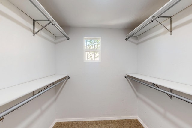 3801 Simms Ave SE, Albuquerque, NM 87108 - spacious closet featuring carpet