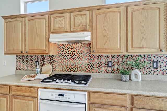 3800 Tundra Swan Ct NW, Albuquerque, NM 87120 - photo 7
