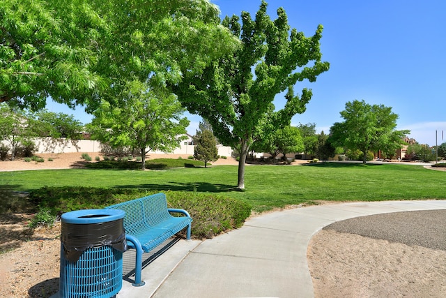 3800 Tundra Swan Ct NW, Albuquerque, NM 87120 - photo 33