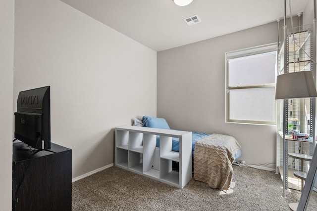 9035 S Sky St NW, Albuquerque, NM 87114 - bedroom with carpet floors and baseboards