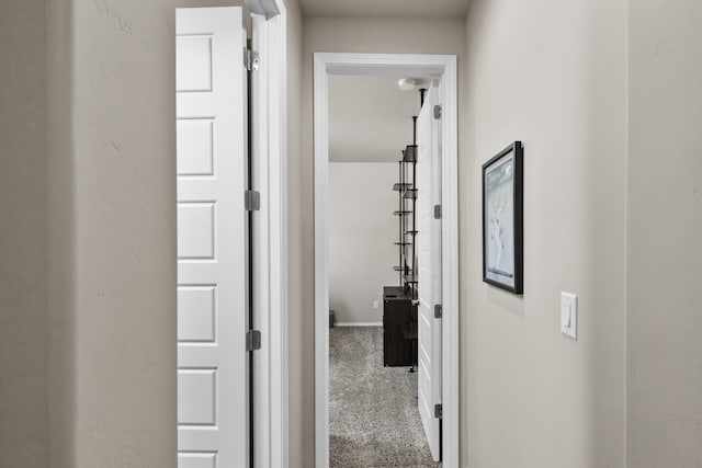 9035 S Sky St NW, Albuquerque, NM 87114 - corridor with carpet floors and baseboards