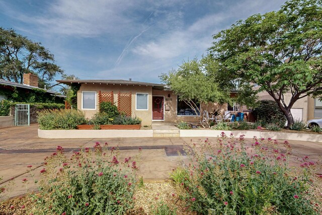 1017 Pampas Dr SE, Albuquerque, NM 87108 - photo 3