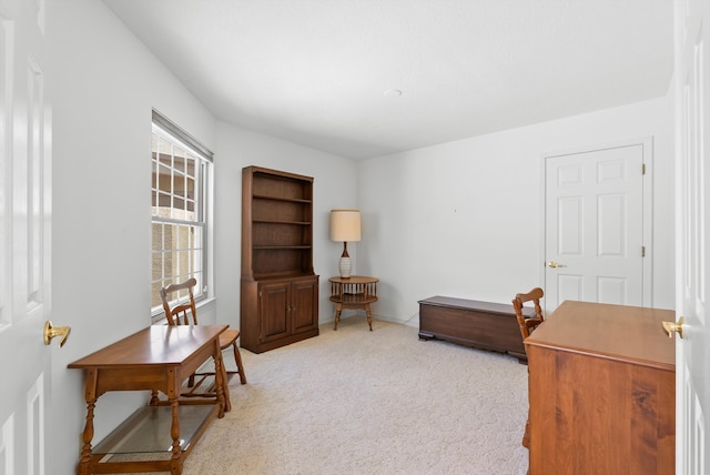 7913 Woodridge Dr NE, Albuquerque, NM 87109 - home office with carpet