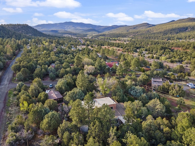 4 Pop Chalee, Glorieta, NM 87535 - drone / aerial view of a forest and mountains
