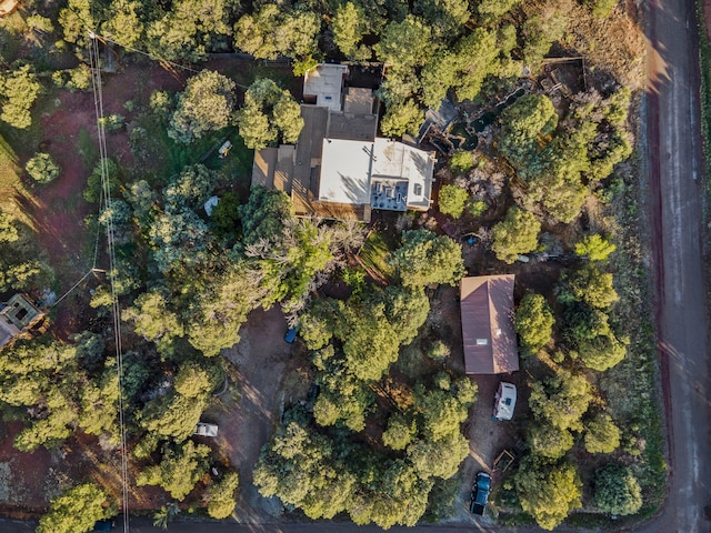4 Pop Chalee, Glorieta, NM 87535 - aerial overview of property's location