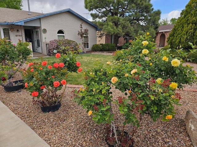 7401 Volunteer St NE, Albuquerque, NM 87109 - view of yard