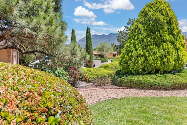 7401 Volunteer St NE, Albuquerque, NM 87109 - view of mountain backdrop