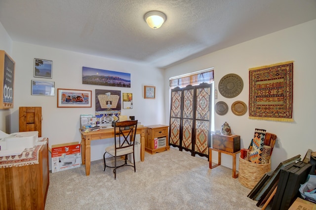 804 Hackberry Trl SE, Albuquerque, NM 87123 - photo 12