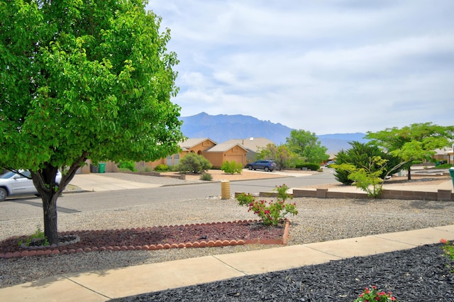 2575 Diamond Peak Dr NE, Rio Rancho, NM 87144 - view of yard with a mountain view