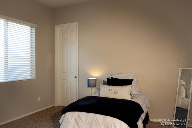 8704 Espacio Verde Rd, Albuquerque, NM 87120 - bedroom featuring carpet floors and baseboards