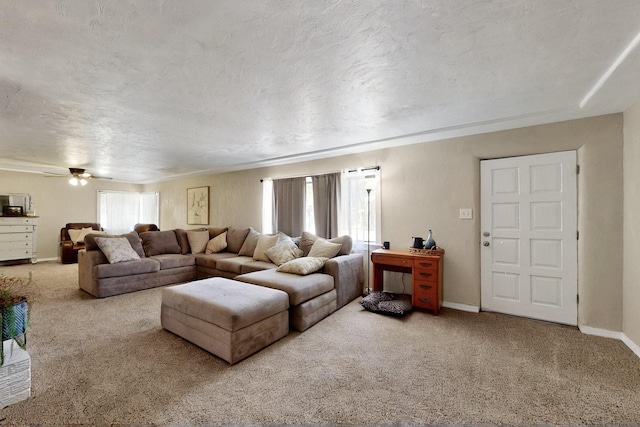 9 Trujillo Rd, Belen, NM 87002 - photo 16