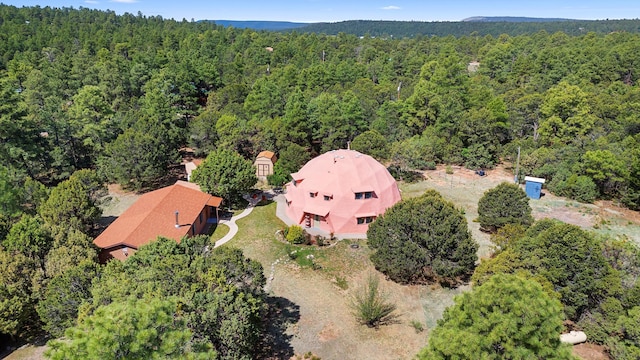 20 Hummingbird Ln, Tijeras, NM 87059 - photo 7
