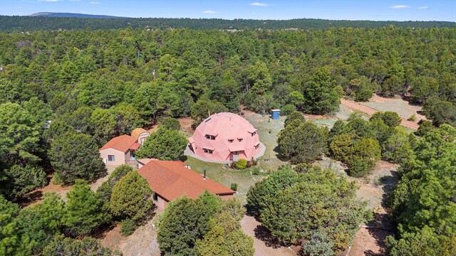 20 Hummingbird Ln, Tijeras, NM 87059 - photo 6