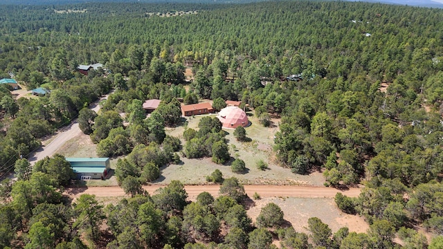20 Hummingbird Ln, Tijeras, NM 87059 - photo 4