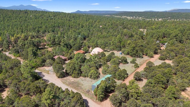20 Hummingbird Ln, Tijeras, NM 87059 - photo 3