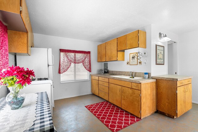 20 Hummingbird Ln, Tijeras, NM 87059 - photo 52