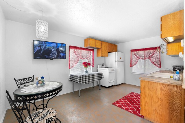 20 Hummingbird Ln, Tijeras, NM 87059 - photo 51