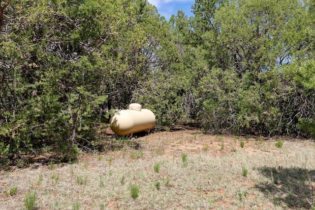 20 Hummingbird Ln, Tijeras, NM 87059 - photo 43