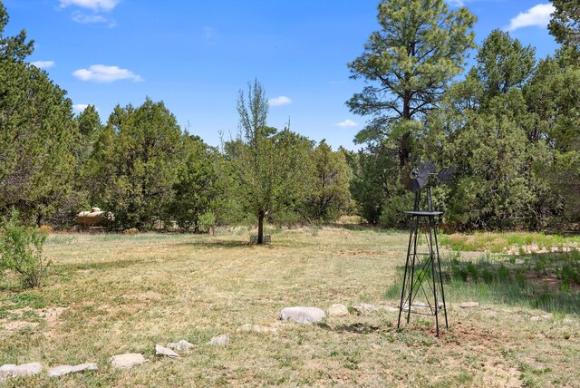 20 Hummingbird Ln, Tijeras, NM 87059 - photo 42