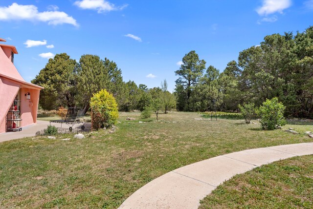20 Hummingbird Ln, Tijeras, NM 87059 - photo 41