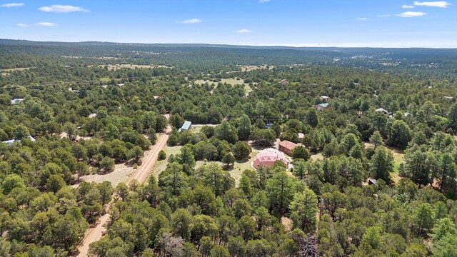20 Hummingbird Ln, Tijeras, NM 87059 - photo 98