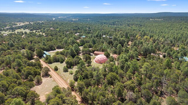 20 Hummingbird Ln, Tijeras, NM 87059 - photo 97