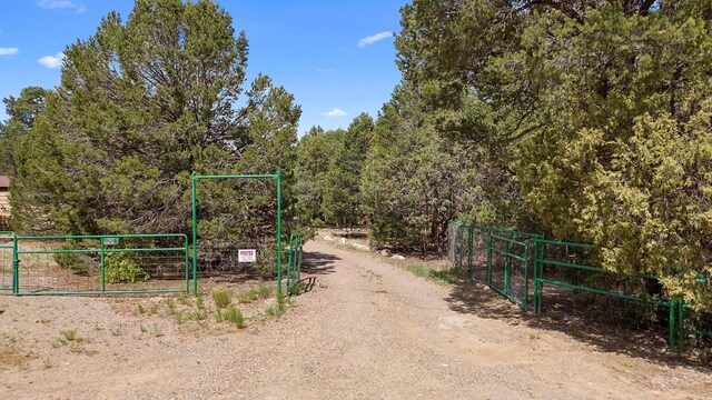 20 Hummingbird Ln, Tijeras, NM 87059 - photo 96