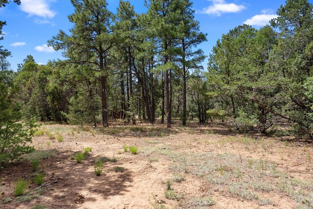 20 Hummingbird Ln, Tijeras, NM 87059 - photo 94
