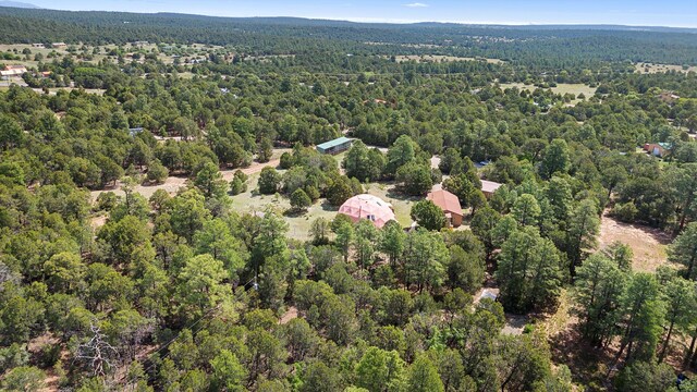 20 Hummingbird Ln, Tijeras, NM 87059 - photo 99