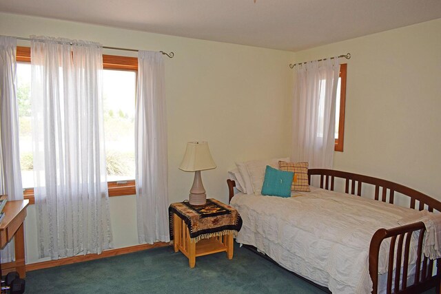 800 Jim St, Socorro, NM 87801 - carpeted bedroom featuring multiple windows