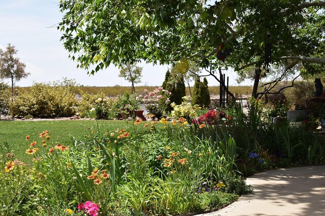 800 Jim St, Socorro, NM 87801 - view of property's community