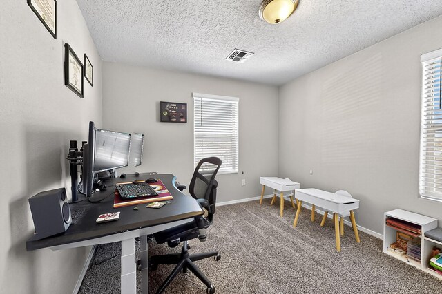 4871 Longs Peak Rd NE, Rio Rancho, NM 87144 - office with healthy amount of natural light, carpet floors, baseboards, and a textured ceiling