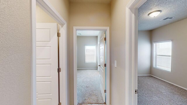 1659 Tierra Verde Loop, Los Lunas, NM 87031 - photo 29